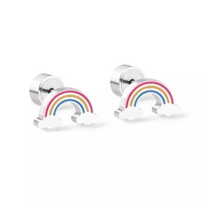 Rainbow Stainless Steel Stud Earrings